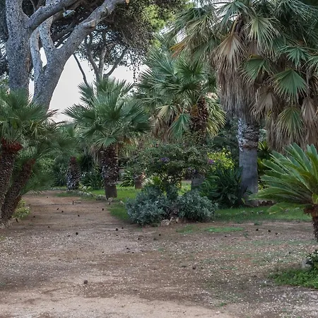 Farm stay Azienda Agrituristica Tenuta Pizzolungo Erice