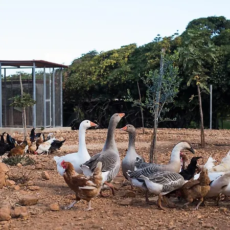 בית חווה Azienda Agrituristica Tenuta Pizzolungo *