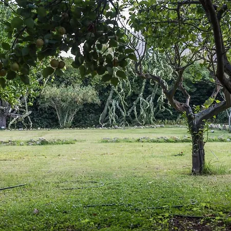 Azienda Agrituristica Tenuta Pizzolungo Farm stay Erice