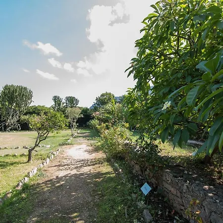 Azienda Agrituristica Tenuta Pizzolungo Erice